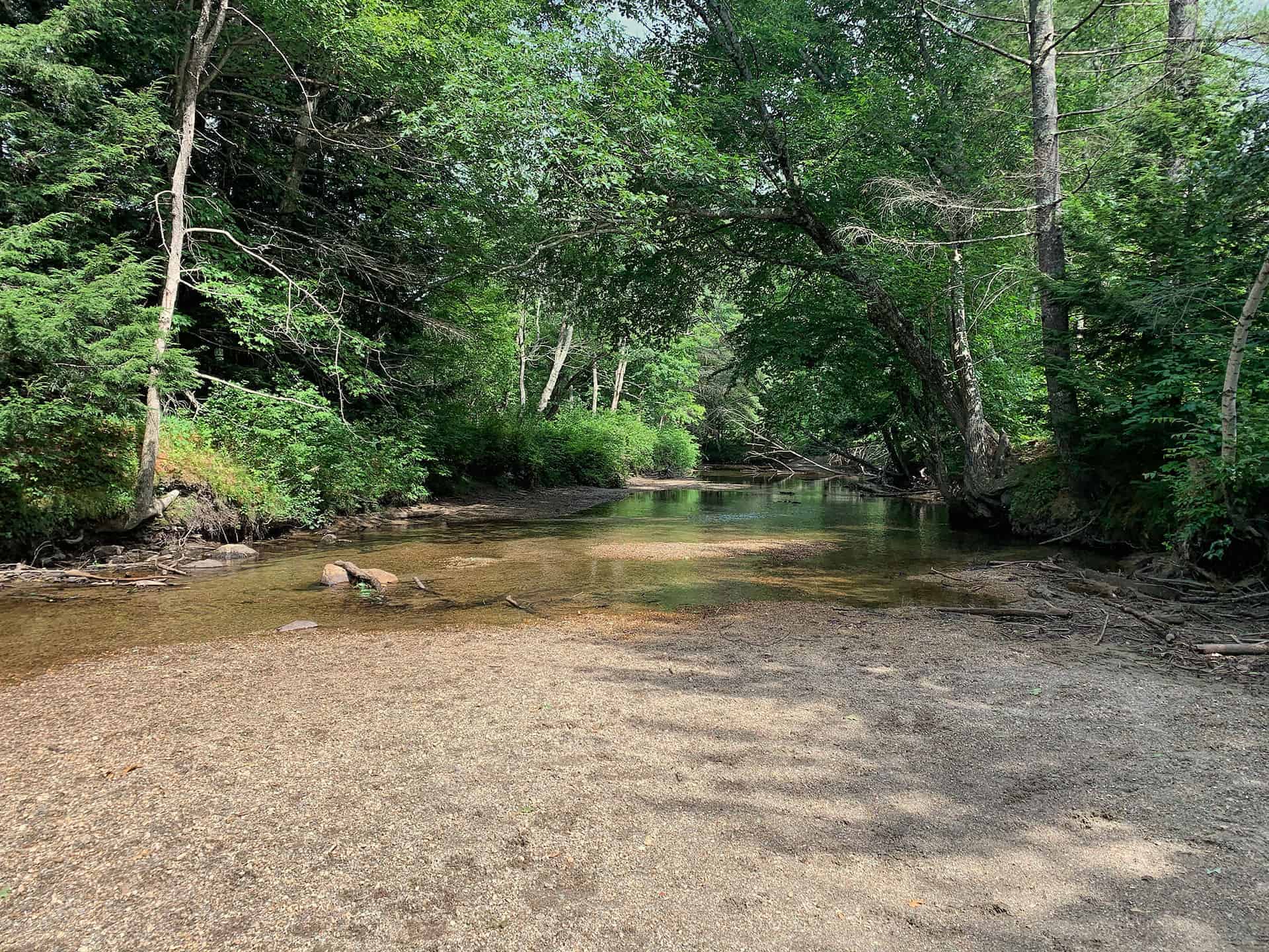 A shallow, rocky streambed winding through the forest