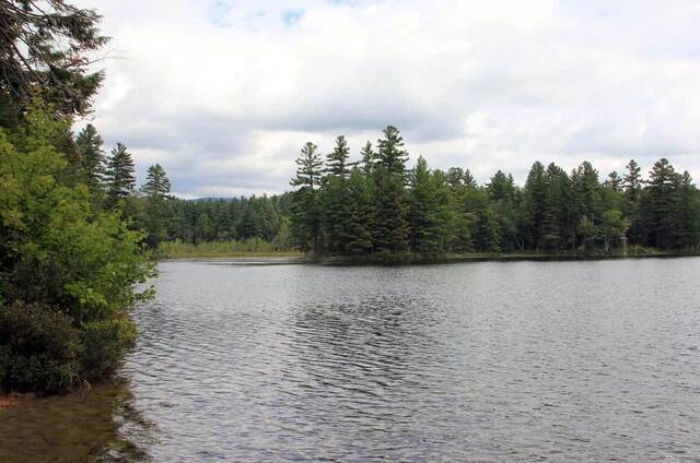 A view across Lowell Lake from a bushy shoreline, with a low mountain visible on the horizon