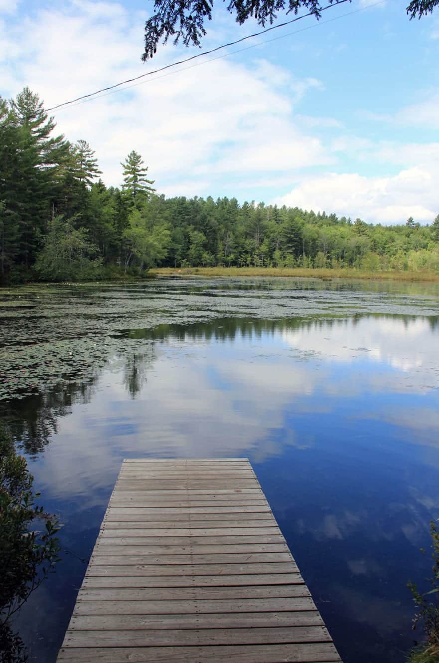 A wooden dock extending into Lowell Lake, surrounded by lily pads and reflecting the sky