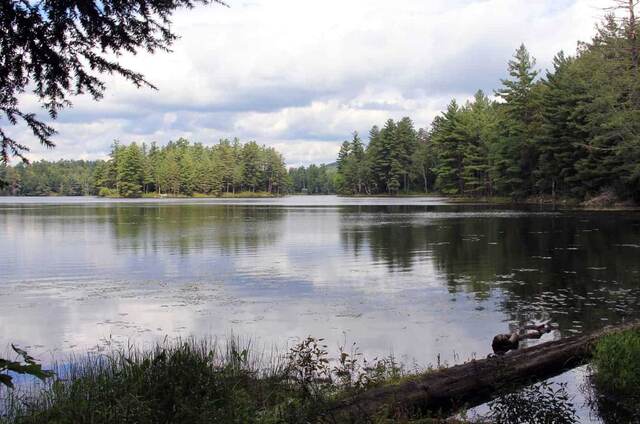 Lowell Lake State Park, Londonderry VT