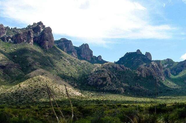 Jagged rock spires and green desert slopes in the Chisos Mountains of Big Bend National Park