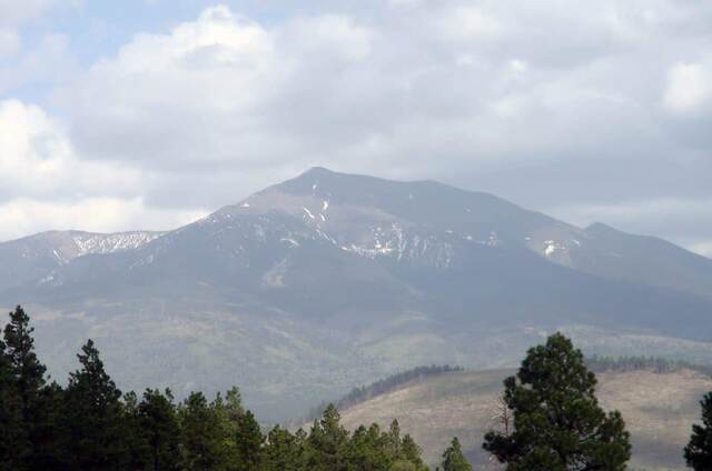 The snow-streaked San Francisco Peaks rising above the forest near the Grand Canyon's South Rim