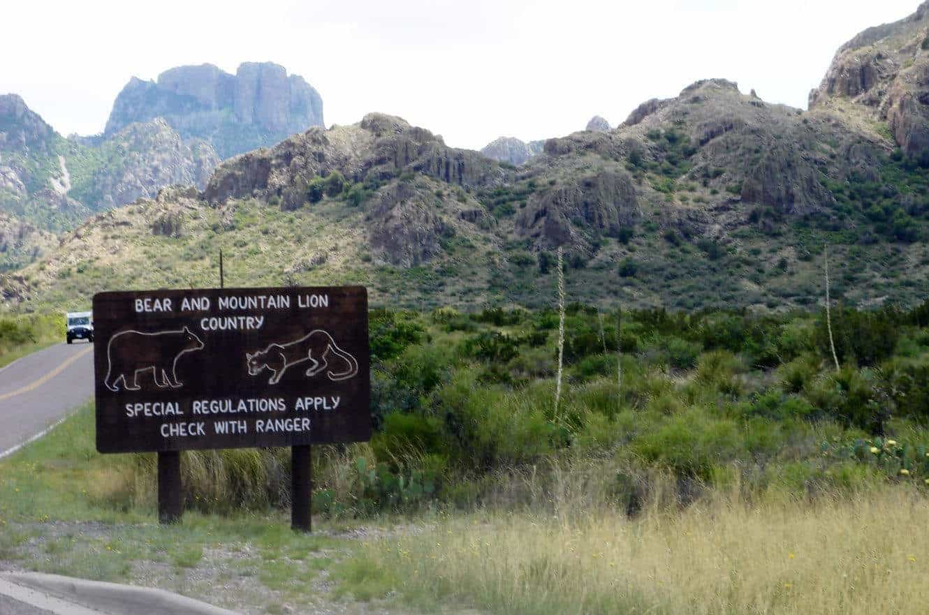 A "Bear and Mountain Lion Country" warning sign along the road into the rugged Chisos Mountains of Big Bend National Park