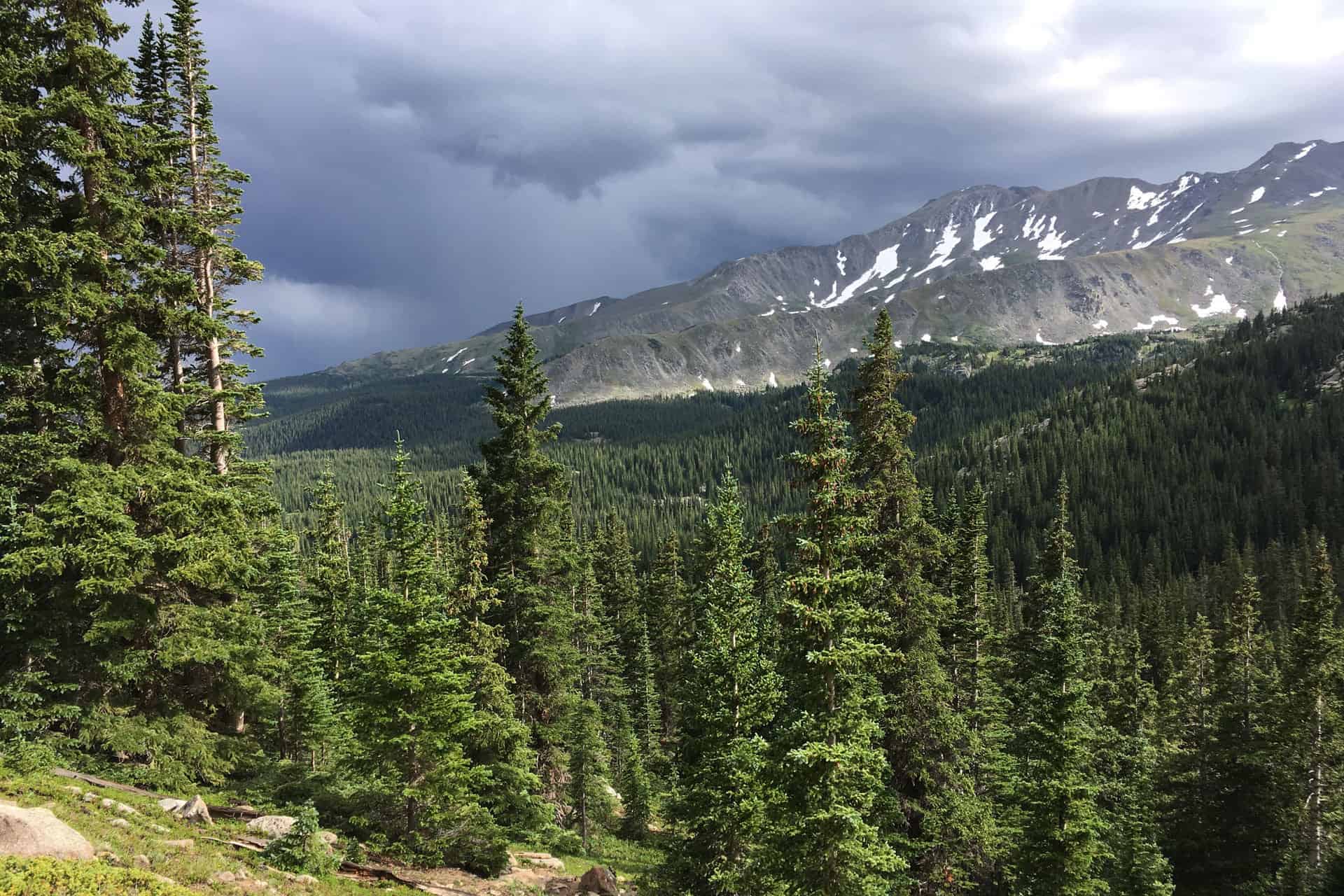 Dark storm clouds hanging over a forested ridge with snow-patched mountains, spruce trees in the foreground