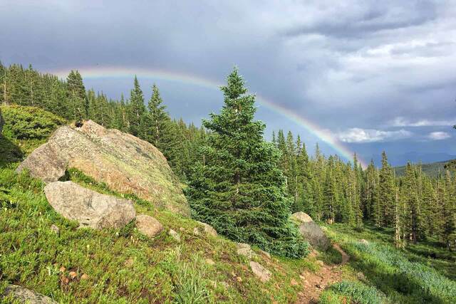 Native Lake Trail, Leadville CO