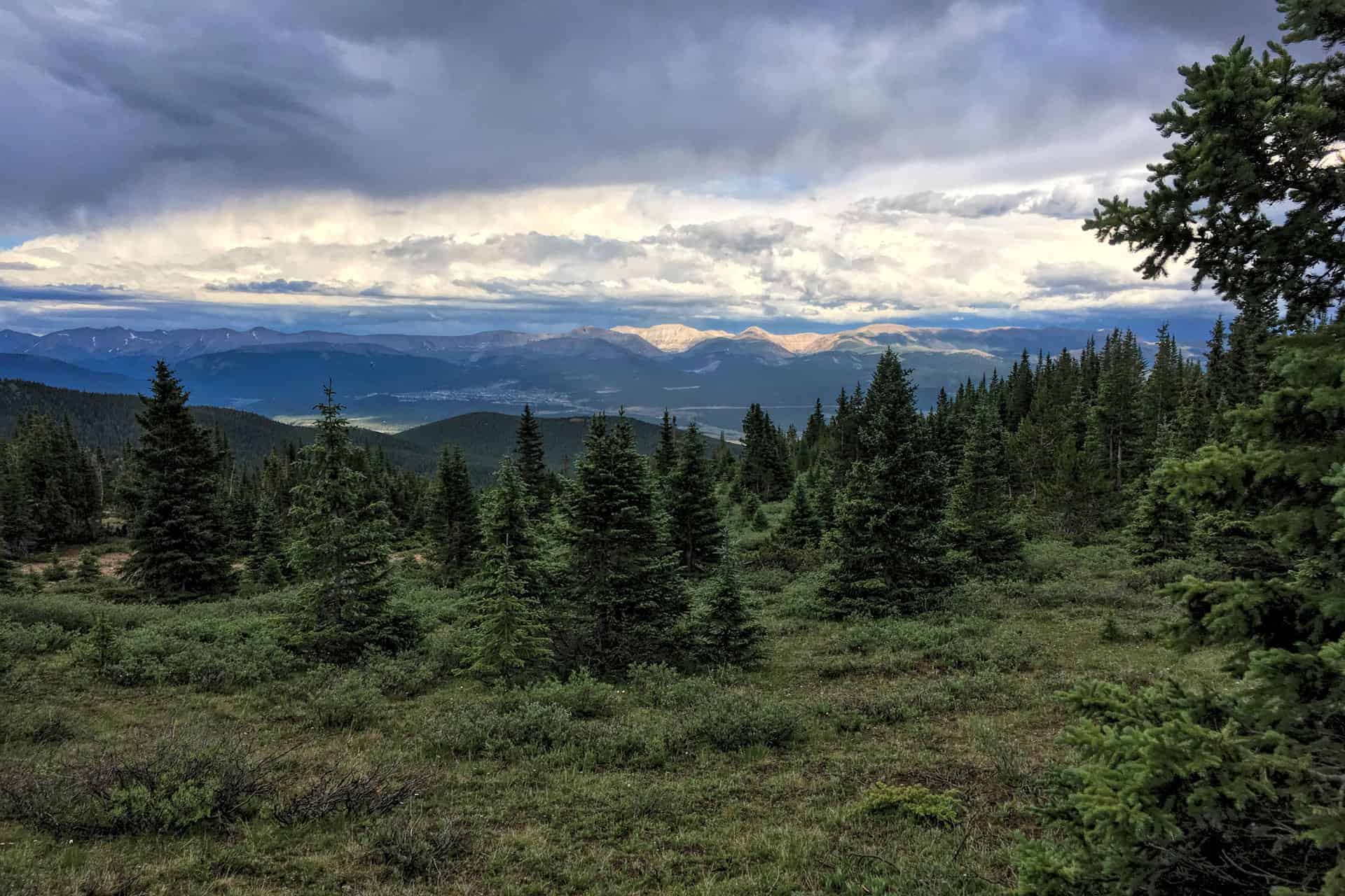 A valley and mountain view under a dramatic stormy sky, with sunlit peaks on the horizon and spruce trees in the foreground