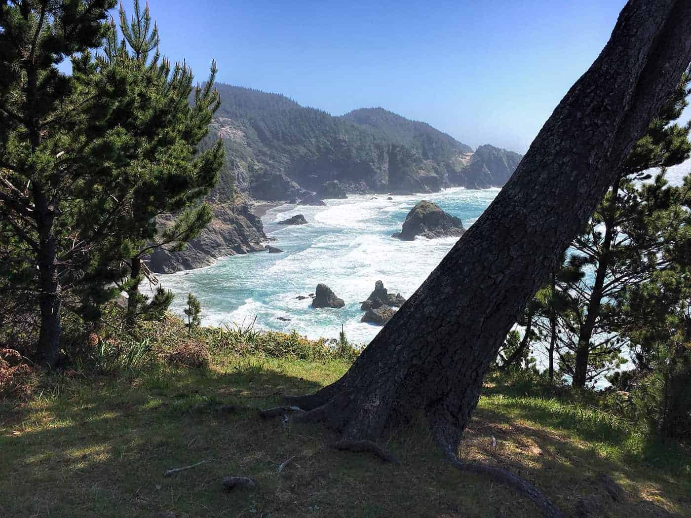 A rocky cove framed by pine trees, with sea stacks and crashing waves seen from a forested overlook