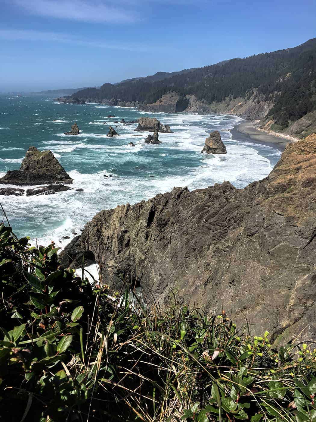 A wide view of the rugged coastline with jagged sea stacks scattered through the turquoise surf and forested cliffs receding into the distance