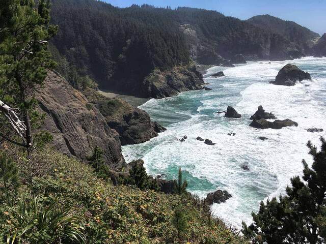 A high view down into a rocky cove where turquoise waves crash around scattered sea stacks, framed by pine trees and forested cliffs