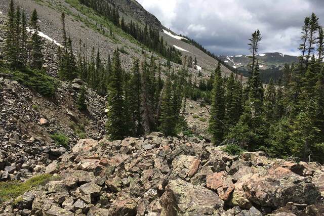 A steep talus slope of broken rock and scattered spruce trees below a ridge with patches of snow, storm clouds gathering above