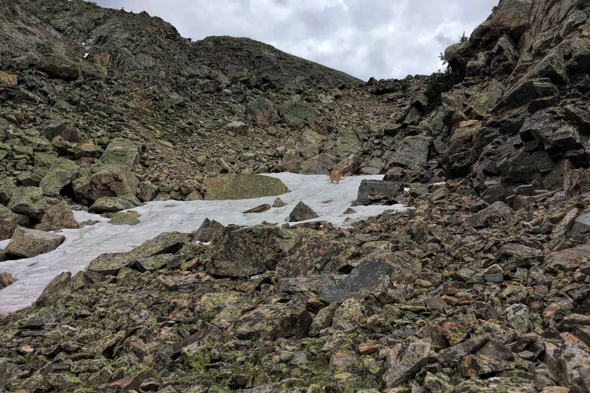 A rocky, snow-patched gully with Teddy standing as a small distant figure on a snowfield, framed by boulders