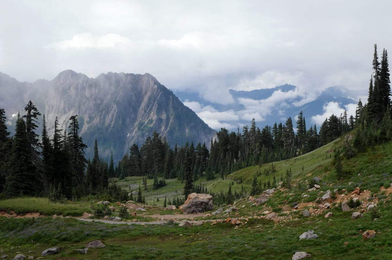 A misty mountain ridge rising above a subalpine meadow dotted with boulders and evergreens