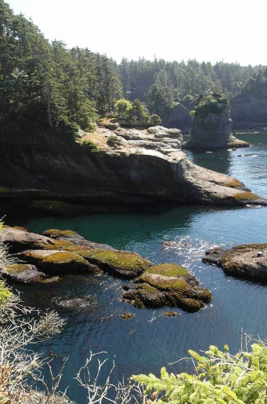 A rocky, tree-topped sea stack rising from calm turquoise water along a forested coastline