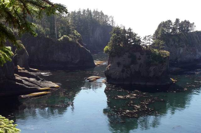 A narrow channel of blue water cutting between tree-covered rock formations on the Pacific coastline