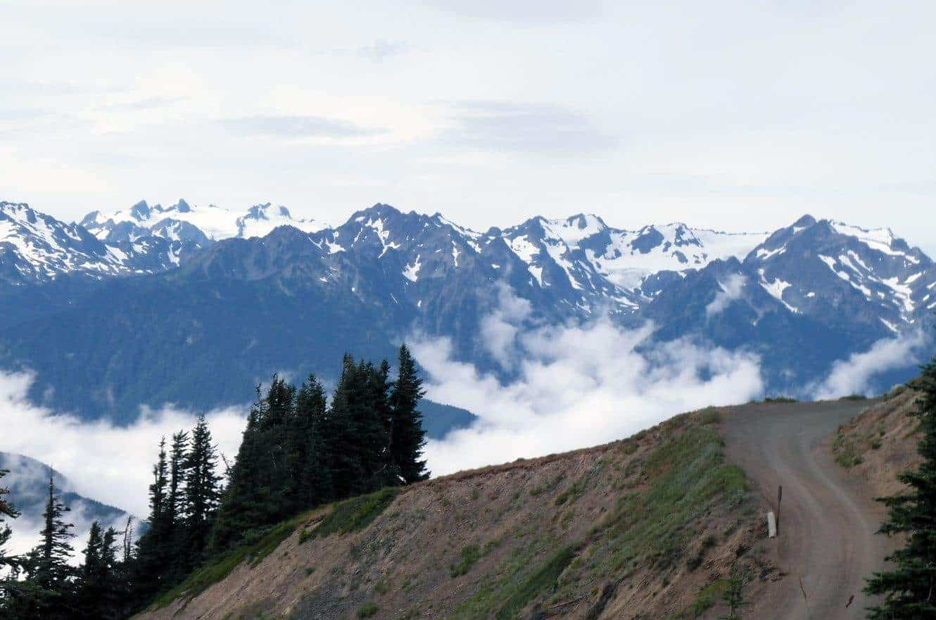 Snow-capped Olympic Mountains rising above a sea of clouds