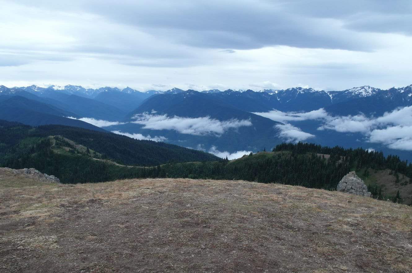 A wide view over forested ridges and valley fog from an overlook at Hurricane Ridge