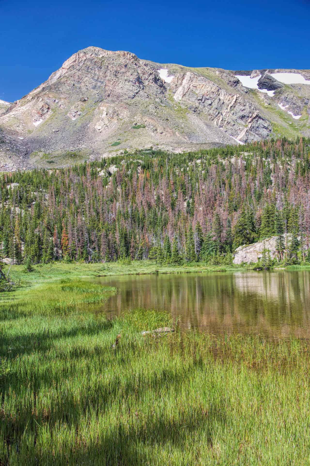 A small mountain lake reflecting a rocky peak, ringed by pine forest with patches of reddish beetle-killed trees