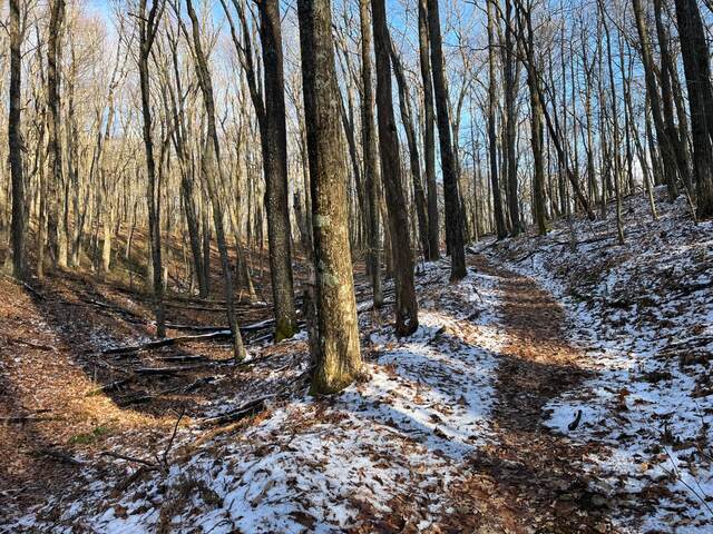 Looking up the trail through the bare woods with a small amount of snow on the leaves