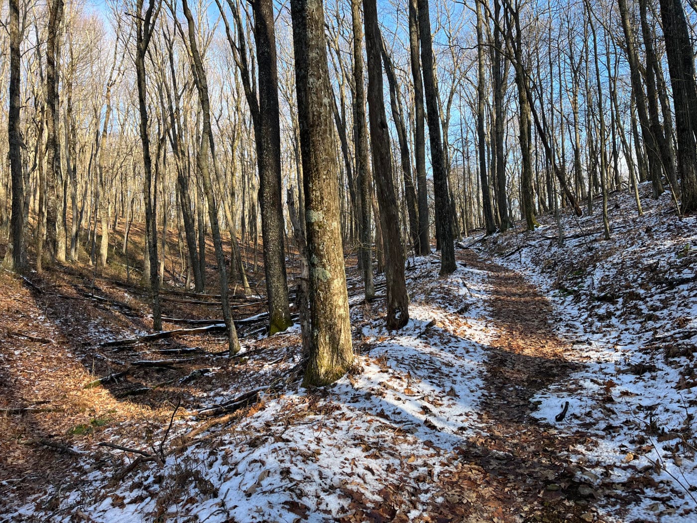 Looking up the trail through the bare woods with a small amount of snow on the leaves
