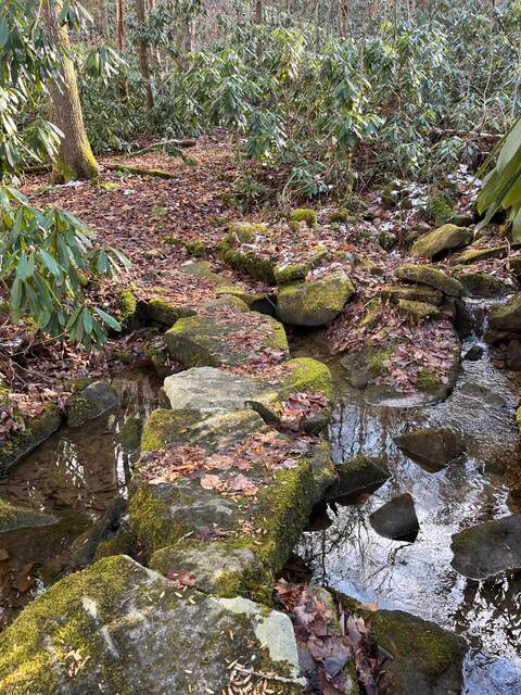 Stepping stones across a small stream on the Pickem Mountain Trail