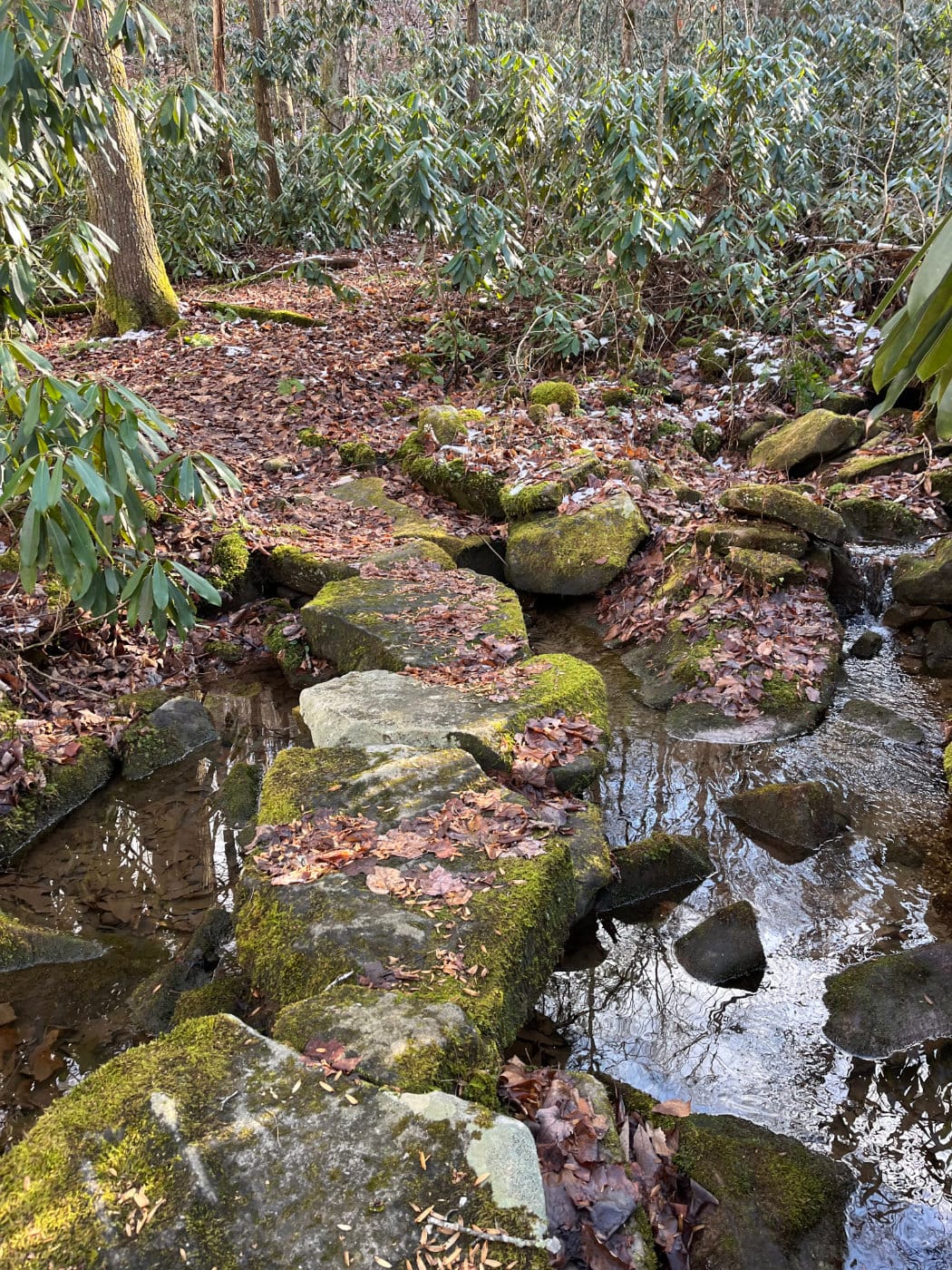 Stepping stones across a small stream on the Pickem Mountain Trail