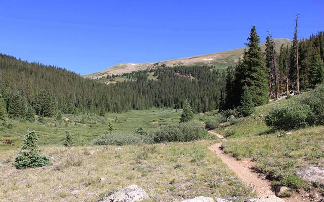 Poplar Gulch Trail, Saint Elmo CO