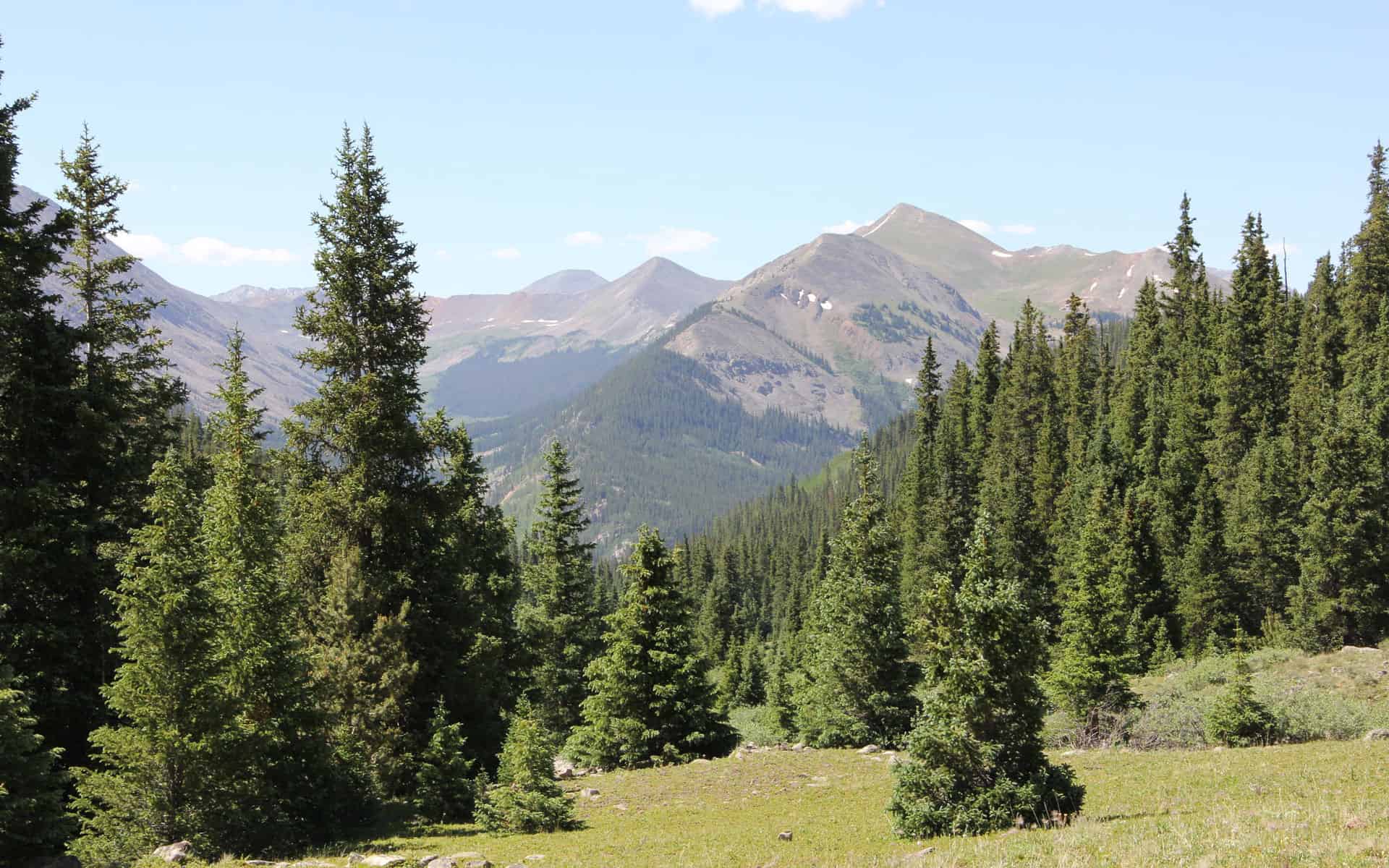 View from the top of Poplar Gulch Trail, Saint Elmo CO