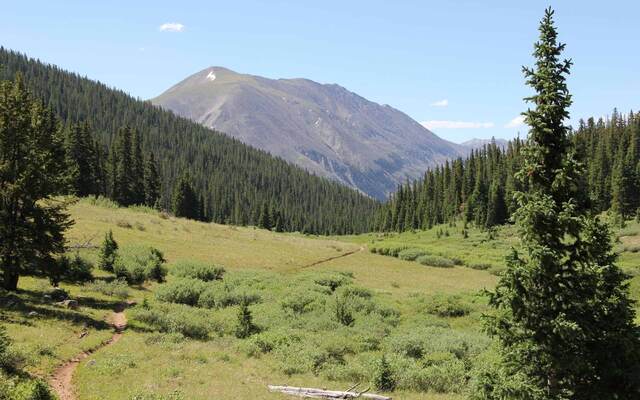 The view on Poplar Gulch Trail, Saint Elmo CO