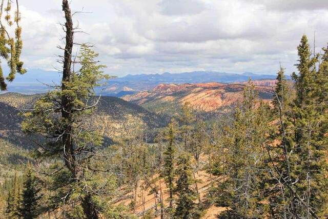 Proctor Canyon, Dixie National Forest