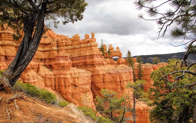 Proctor Canyon, Dixie National Forest, Utah