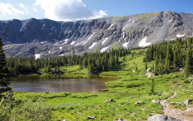 A small brown tarn in a green meadow, backed by a forested hillside rising toward a rocky, snow-patched ridge