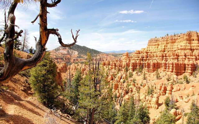 Red Canyon, Dixie National Forest, Utah
