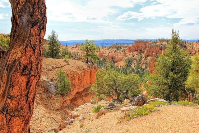 Red Canyon National Park, Utah
