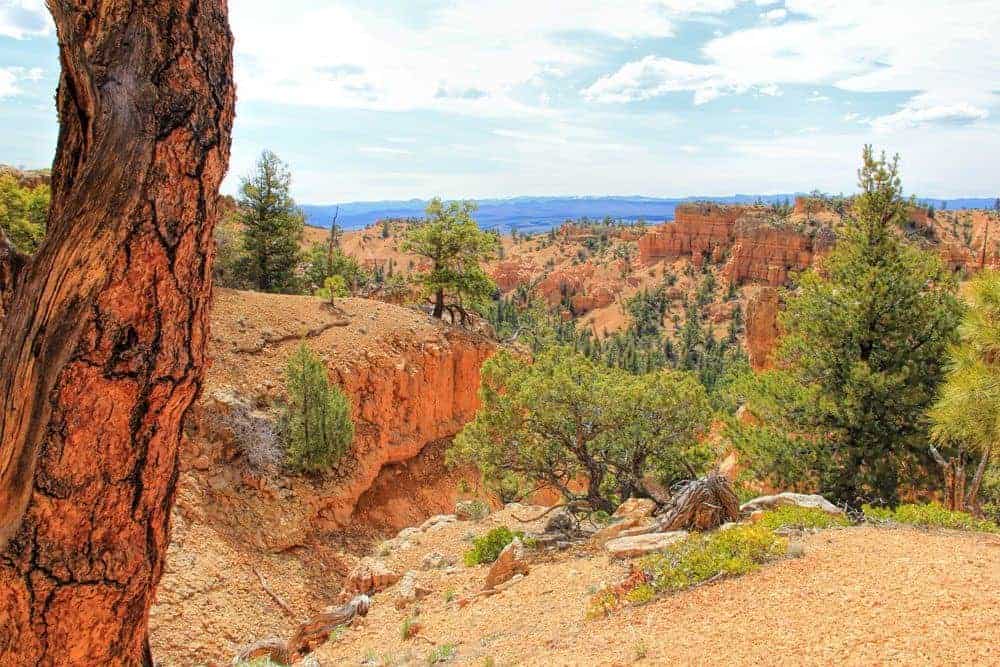 Red Canyon National Park, Utah