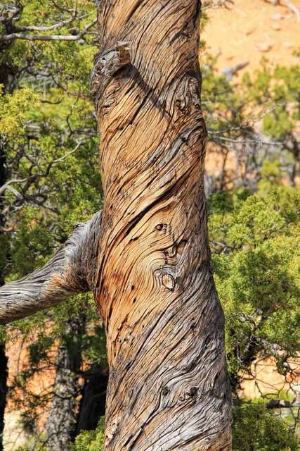 Golden Wall and Castle Bridge Trail - Red Canyon National Park
