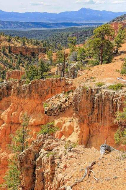 Golden Wall and Castle Bridge Trail - Red Canyon National Park