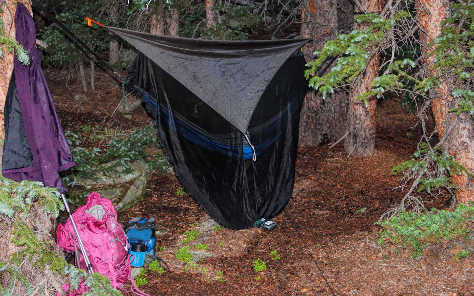 A hammock camp with a gray rain tarp and black mosquito netting set up between pine trees, a purple rain jacket hanging on a branch, and a pink backpack at the base
