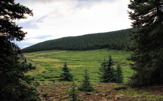 A green meadow along the Rich Creek Trail framed by a forested ridge, with a footpath curving through the grass