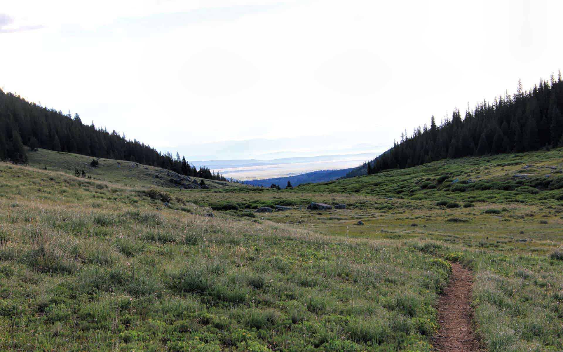 Looking down a grassy meadow trail toward a hazy, wide valley in the distance