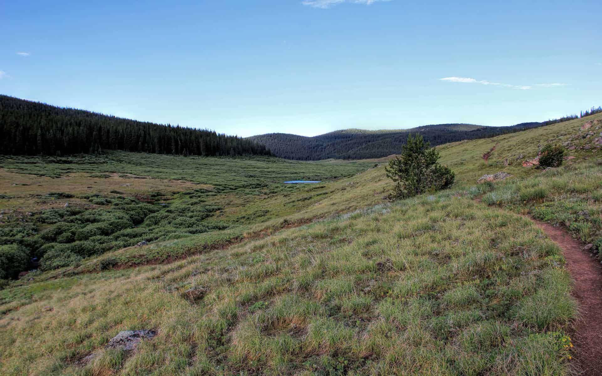 A grassy alpine meadow with a small pond tucked among low hills along the trail