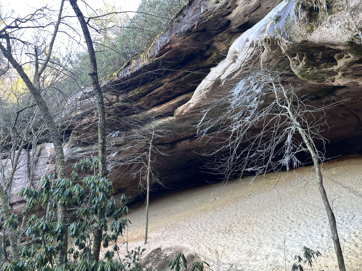 Ice on the cave and tree in front of the cave