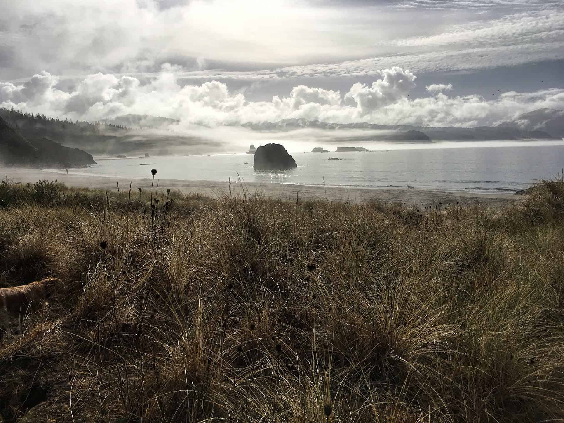 A misty beach morning with Emmy Lou in the foreground, a large sea rock offshore, and a small figure walking the sand in the distance