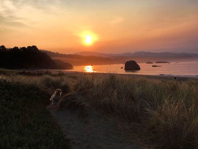 Saying goodbye to Port Orford, Oregon