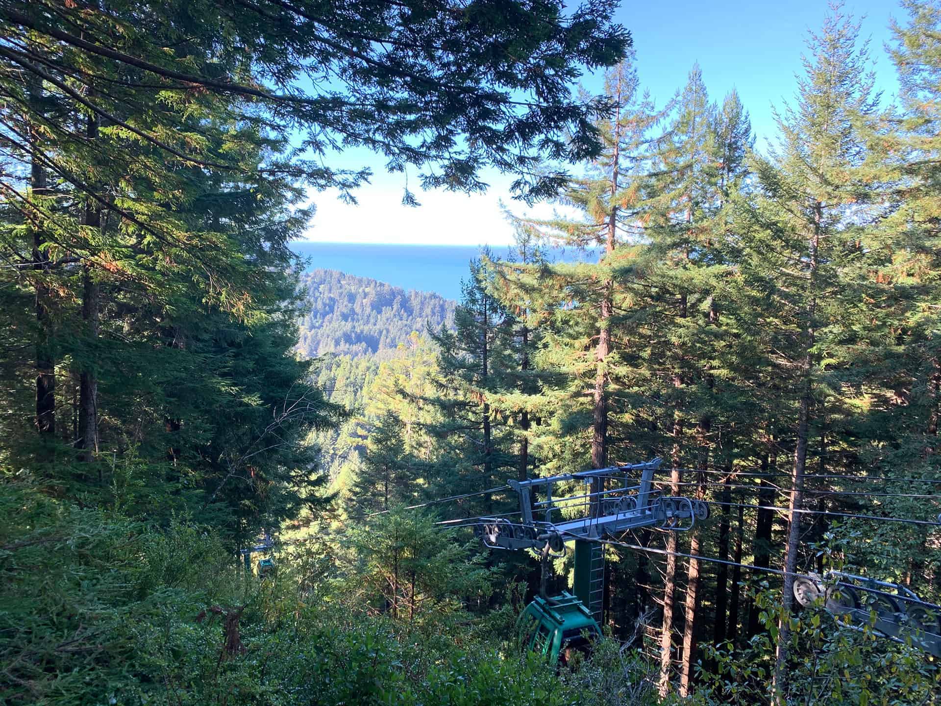 A trail through the redwoods with a distant glimpse of the ocean and the gondola line