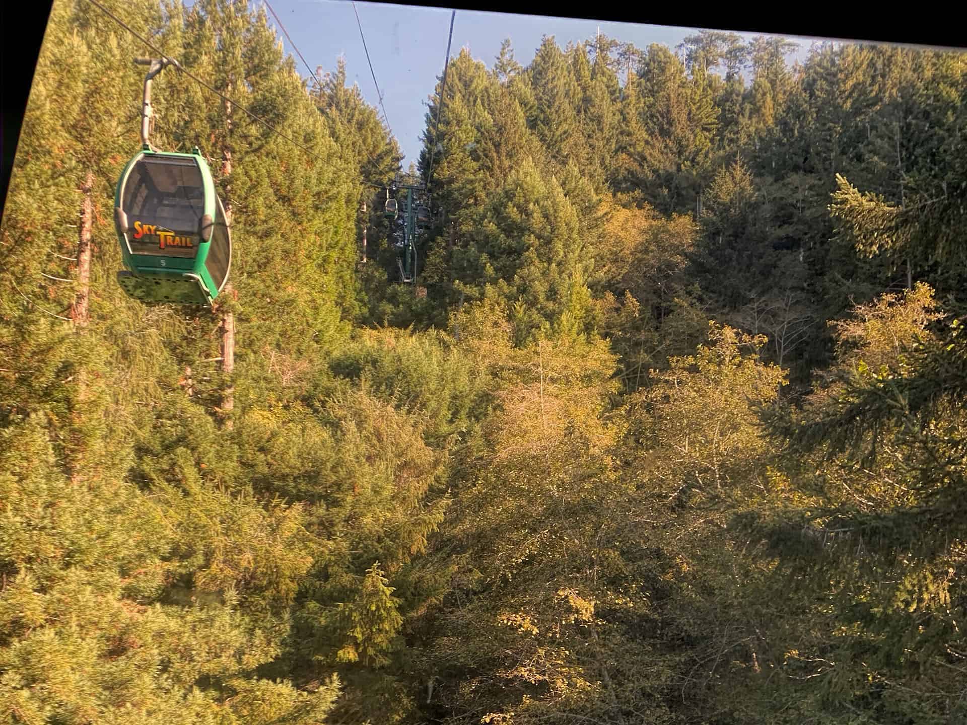 A Sky Trail gondola car traveling over the redwood forest canopy
