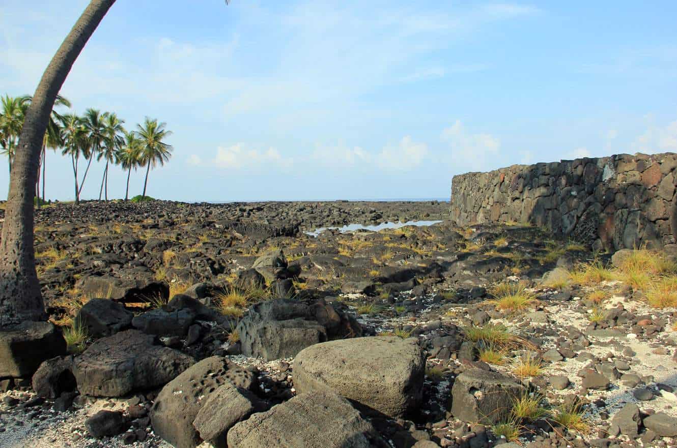 A lava rock wall and scattered boulders along the rugged shoreline, with palm trees in the distance