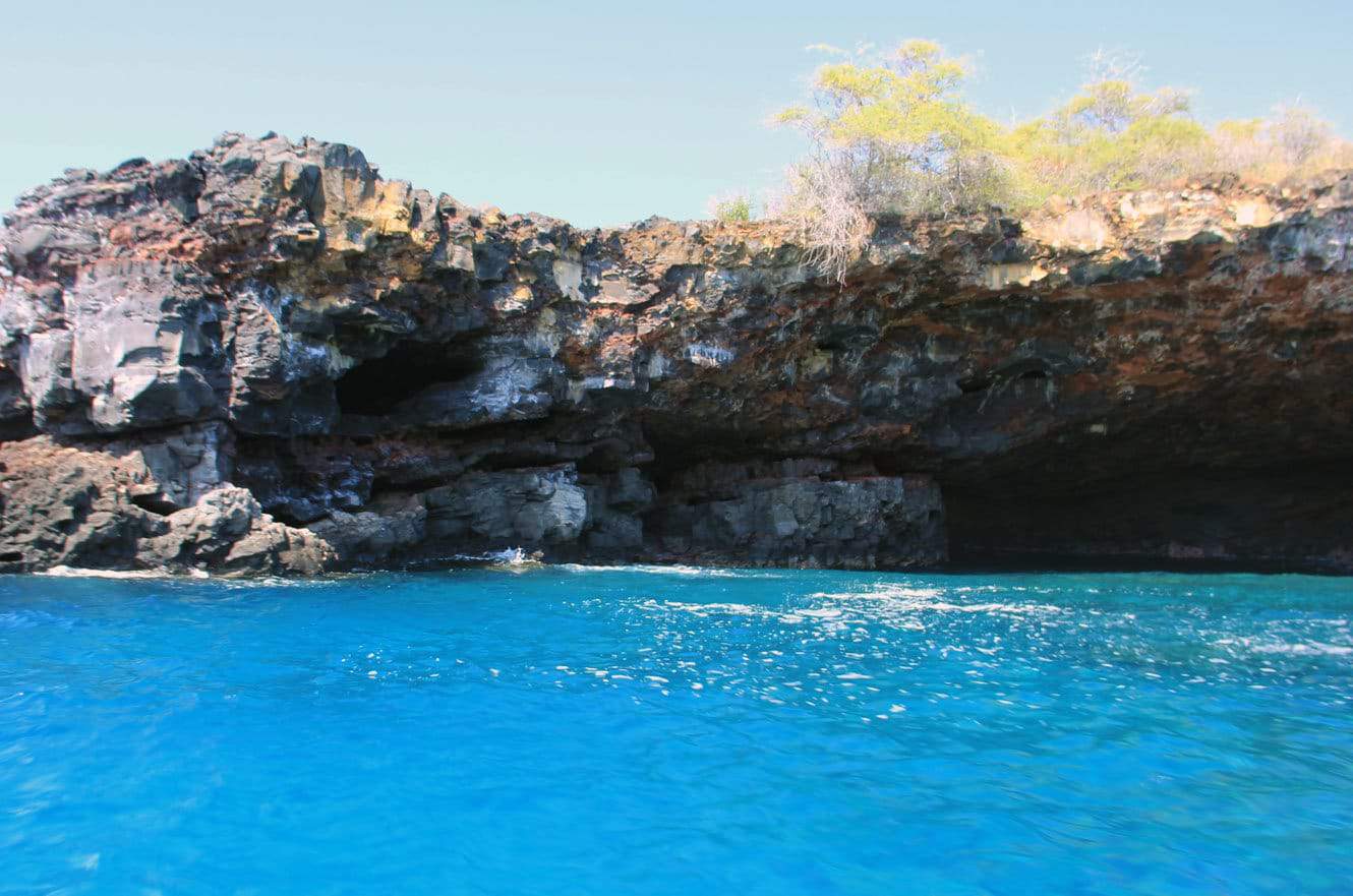 A sea cave opening with green shrubs growing along the cliff top