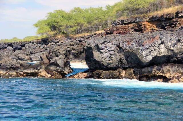A lava rock arch with waves breaking through, framed by trees along the cliff top