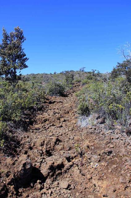 A dirt hiking trail leading uphill through shrubs on the Mauna Loa Trail