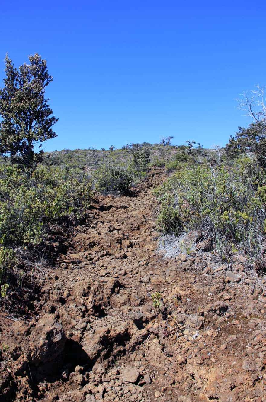 A dirt hiking trail leading uphill through shrubs on the Mauna Loa Trail